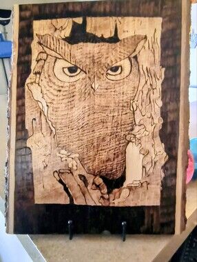 Hand Crafted Woodburned Owl Wall Art in Brown and Black